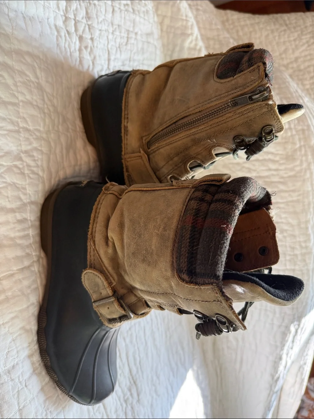 Sperry classic duck